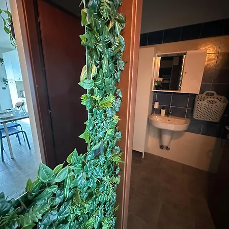 Apartmán Il Gabbiano 